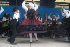 Fesival2010-14