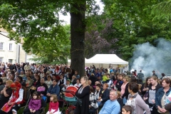 Festi2014-6
